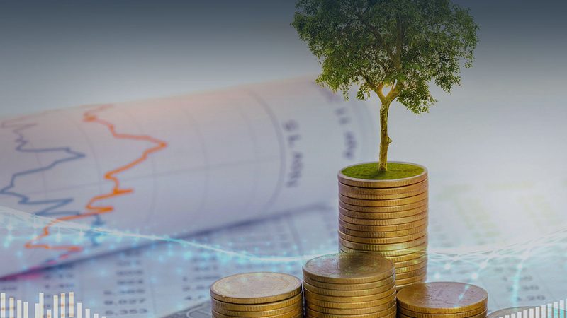 中小企业流程优化咨询：揭秘其价值与选择要点